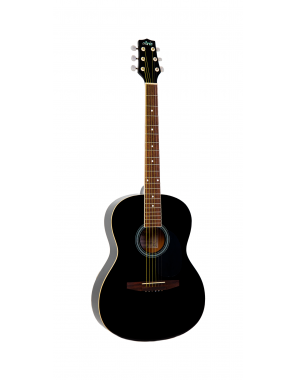 Гитара акустическая Aris FL-39 BK