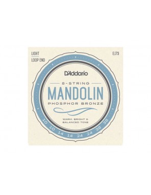 Струны D'addario для мандолины EJ73 (10-38)