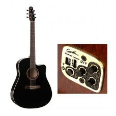 Гитара акустическая Godin 034208