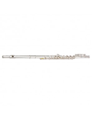 Флейта Maxtone TFC-53SE