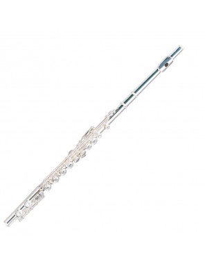 Флейта Maxtone TFC-60/S