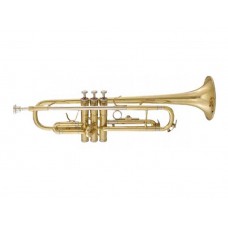 Труба Maxtone TTC-60/L-2