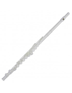 Флейта Trevor James 3041EW