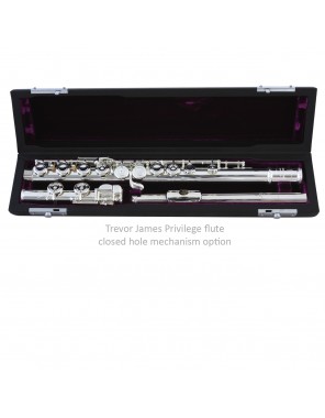 Флейта Trevor James 31PF-E