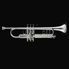 Труба Trevor James 3RTR8500SP